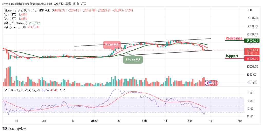 BTCUSD_1D_08032023-1024x518-1