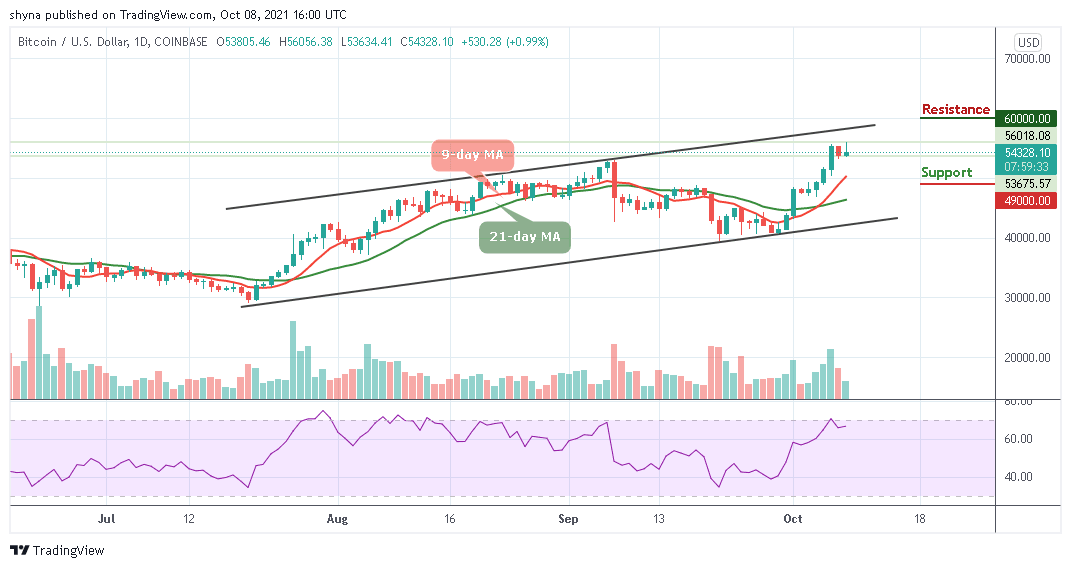 BTCUSD_1D_08102021