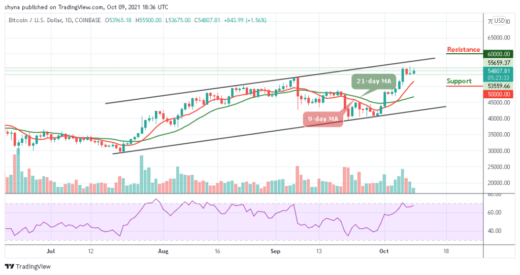 BTCUSD_1D_08102021_b