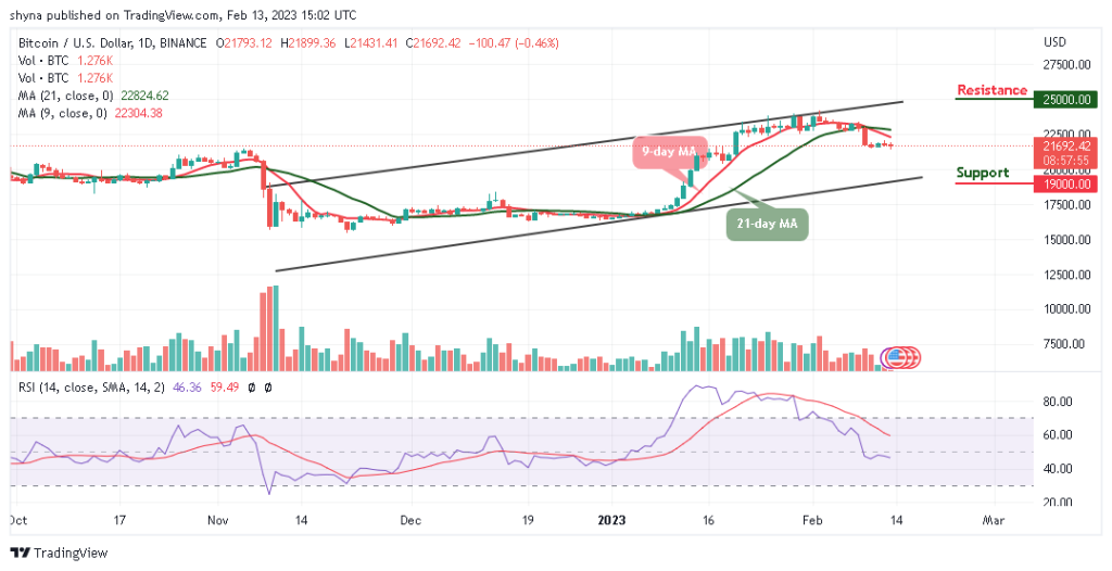 BTCUSD_1D_10022023-1024x526-1