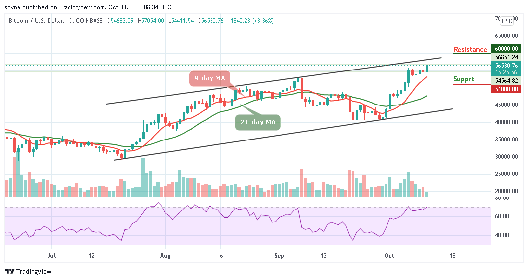 BTCUSD_1D_10102021