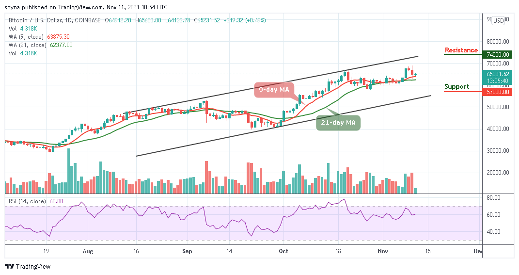 BTCUSD_1D_10112021_b