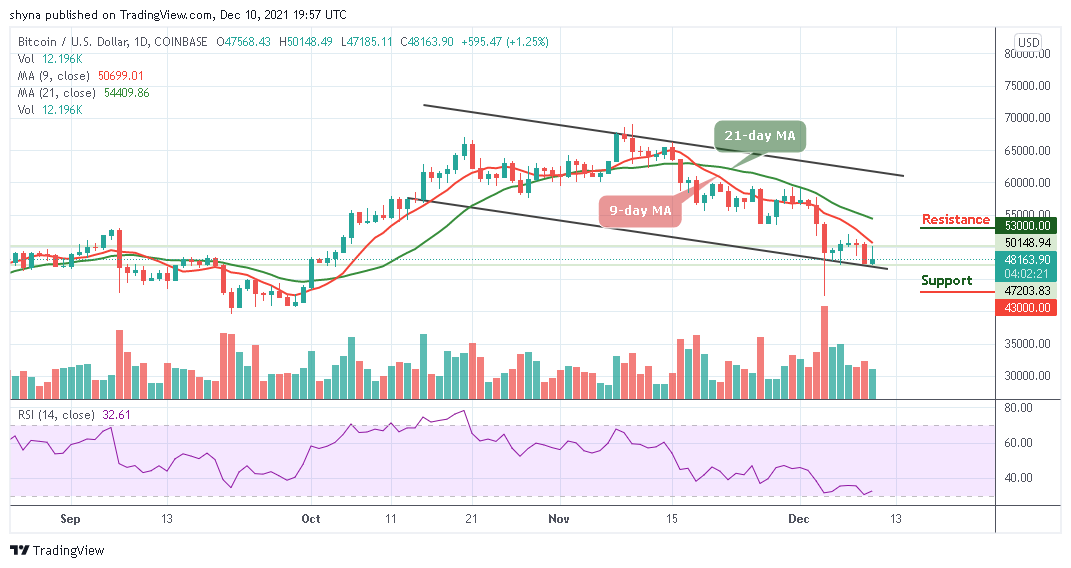 BTCUSD_1D_10122021