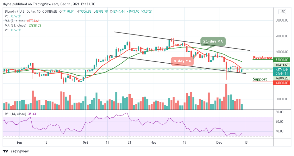 BTCUSD_1D_10122021_b
