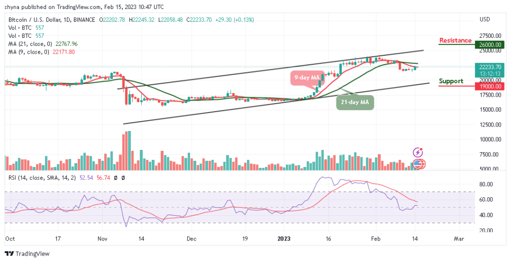 BTCUSD_1D_11022023-1024x526-1