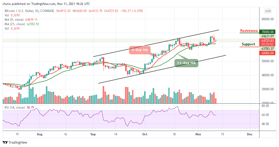 BTCUSD_1D_11112021