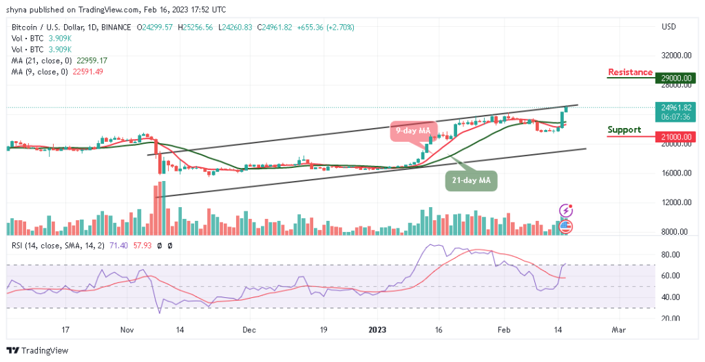 BTCUSD_1D_12022023-1024x526-1