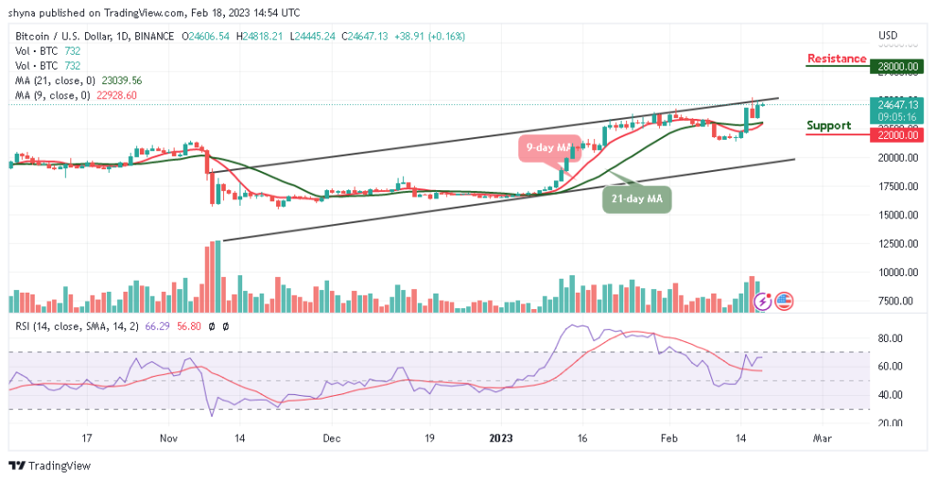 BTCUSD_1D_13022023-1024x526-1