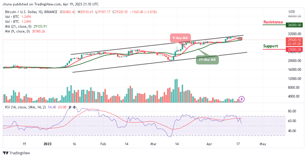 BTCUSD_1D_13042023-1024x529-1