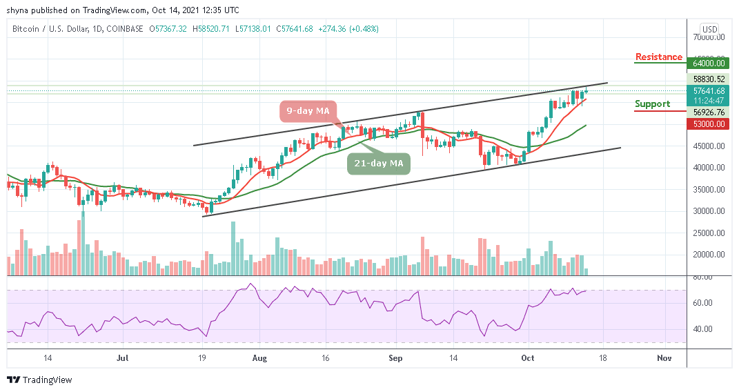 BTCUSD_1D_13102021_b