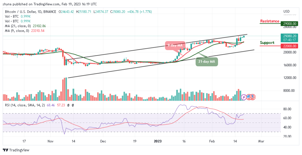 BTCUSD_1D_14022023-1024x526-1