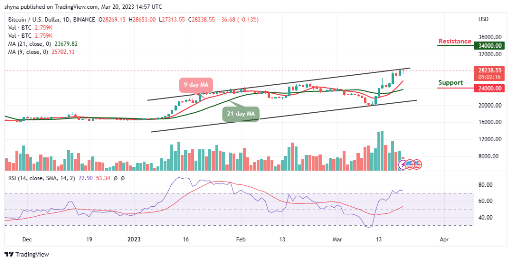 BTCUSD_1D_14032023-1024x526-1