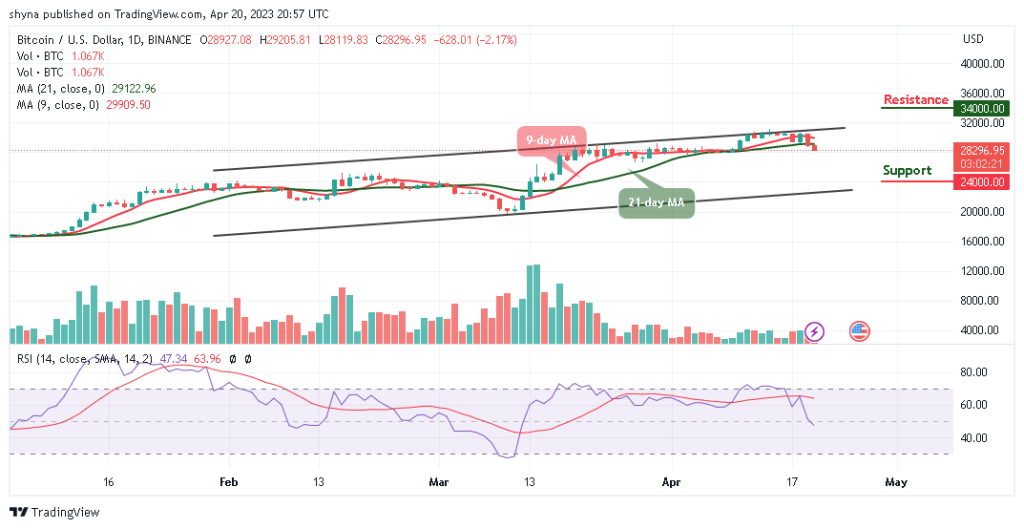 BTCUSD_1D_14042023-1024x529-1