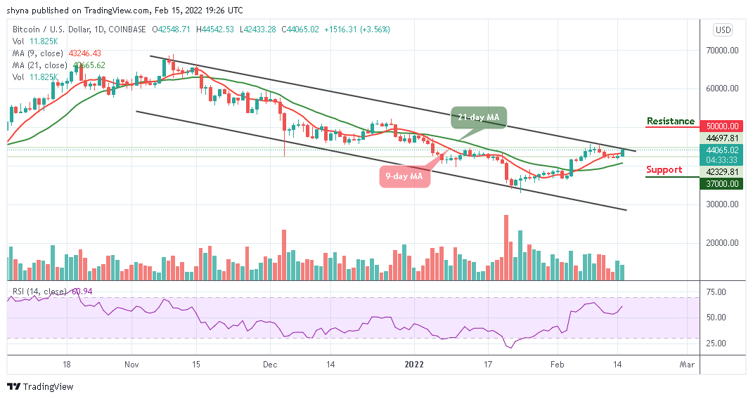 BTCUSD_1D_15022022
