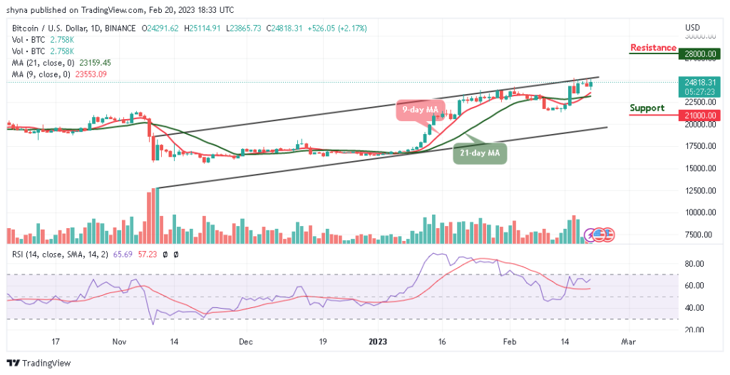 BTCUSD_1D_15022023-1024x526-1
