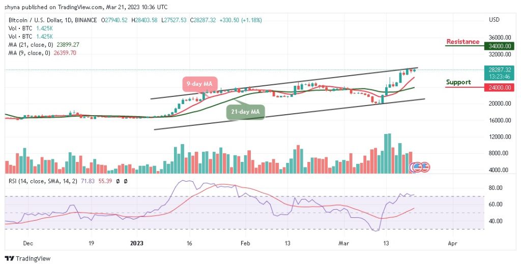 BTCUSD_1D_15032023-1024x526-1