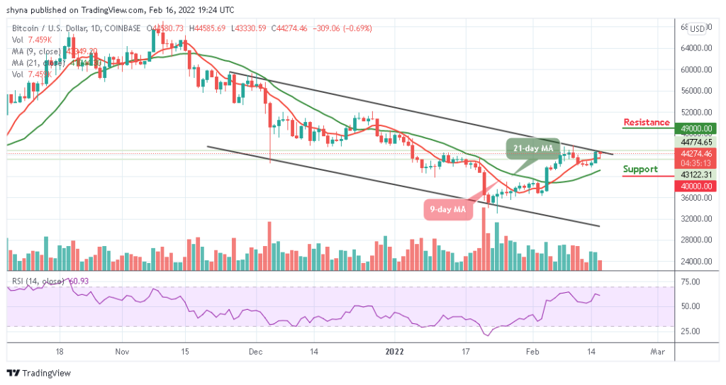 BTCUSD_1D_16022022