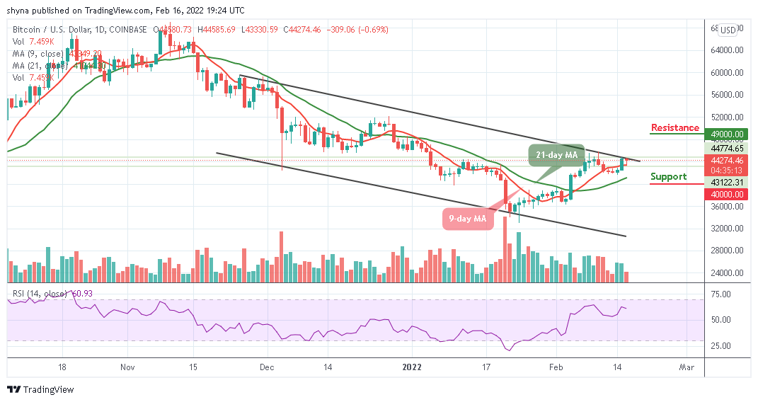 BTCUSD_1D_16022022