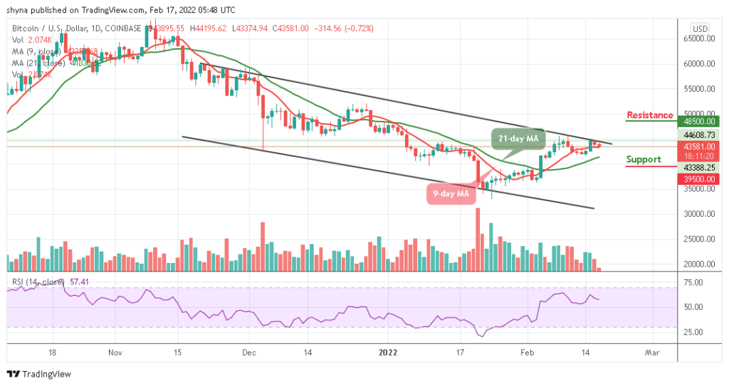 BTCUSD_1D_16022022_b
