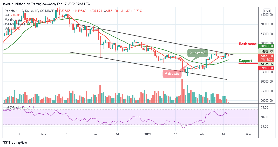 BTCUSD_1D_16022022_b
