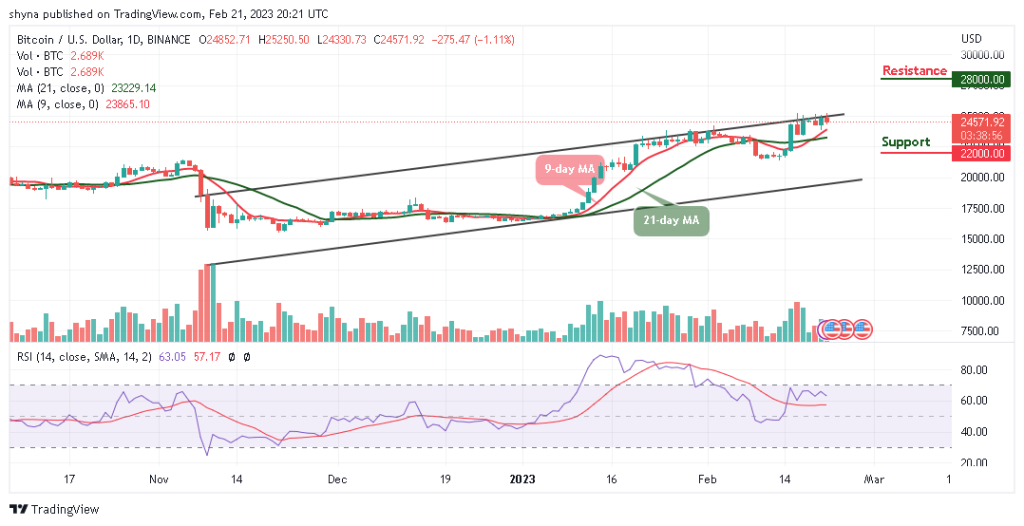 BTCUSD_1D_16022023-1024x526-1