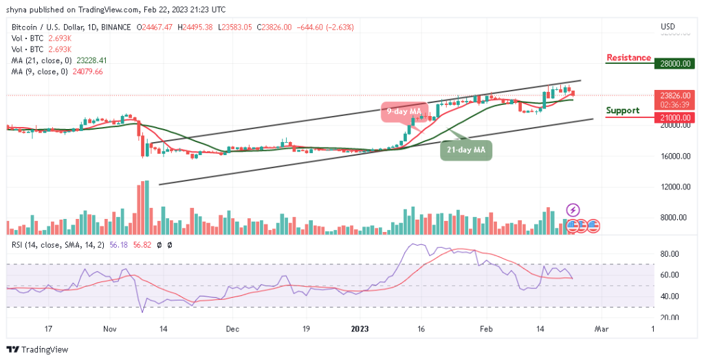 BTCUSD_1D_17022023-1024x526-1