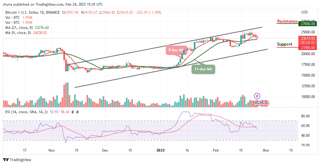 BTCUSD_1D_18022023-1024x526-1