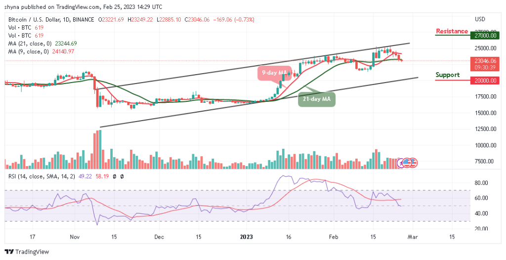 BTCUSD_1D_19022023-1024x526-1