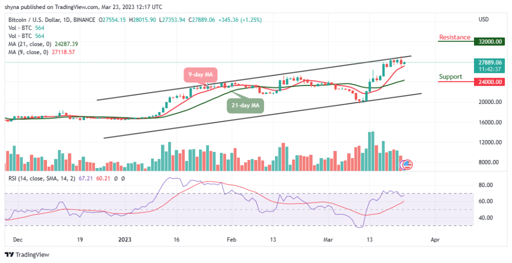 BTCUSD_1D_19032023-1024x526-1