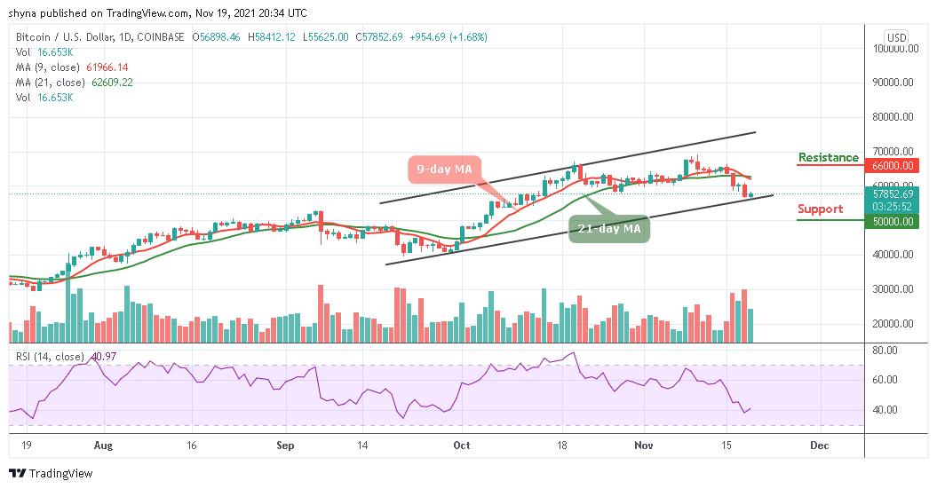 BTCUSD_1D_19112021_b
