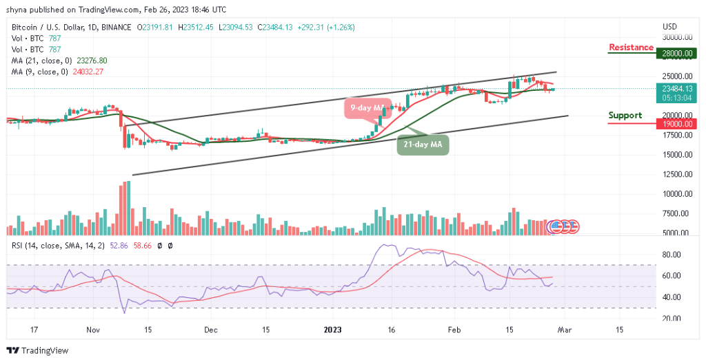 BTCUSD_1D_20022023-1024x526-1