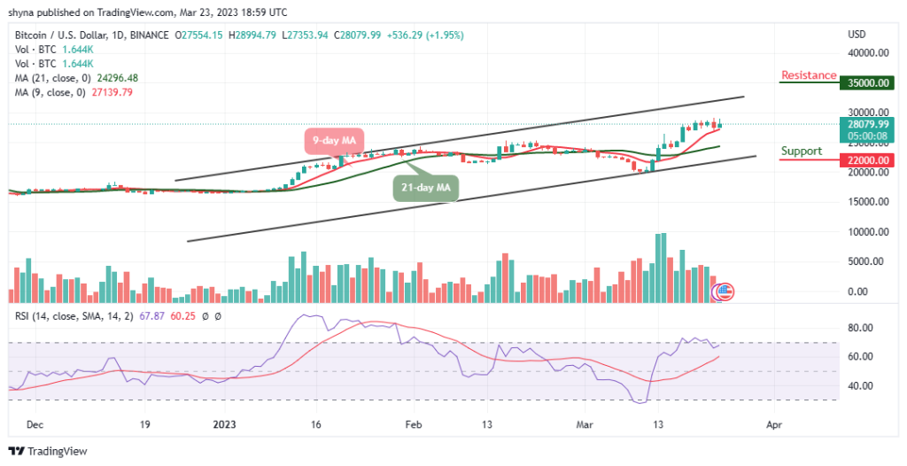 BTCUSD_1D_20032023-1024x526-1
