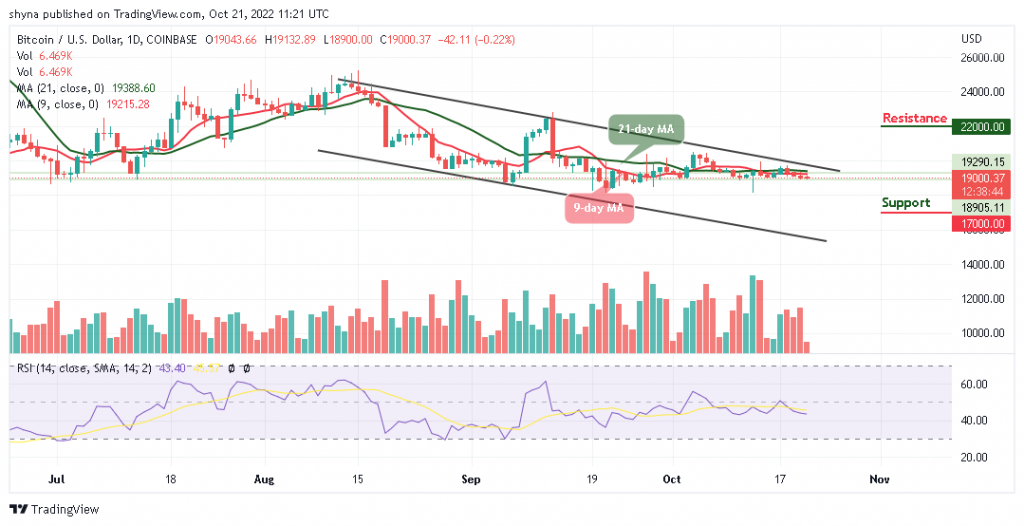 BTCUSD_1D_20102022-1024x526-1