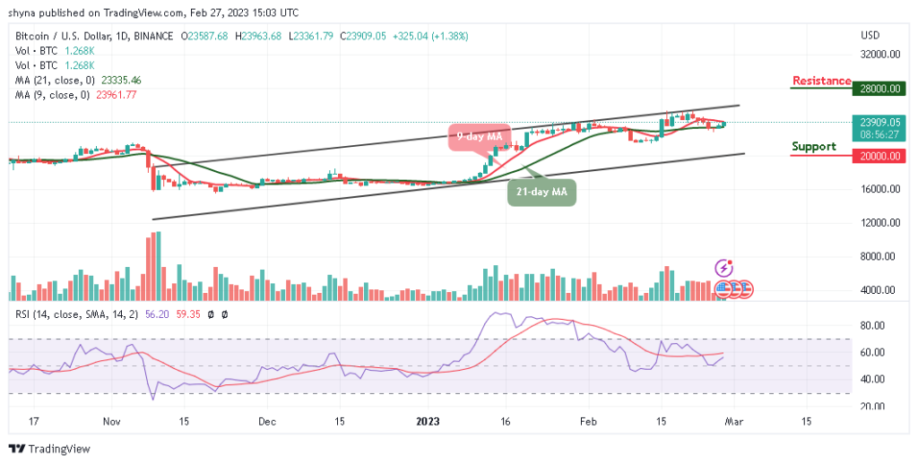 BTCUSD_1D_21022023-1024x518-1