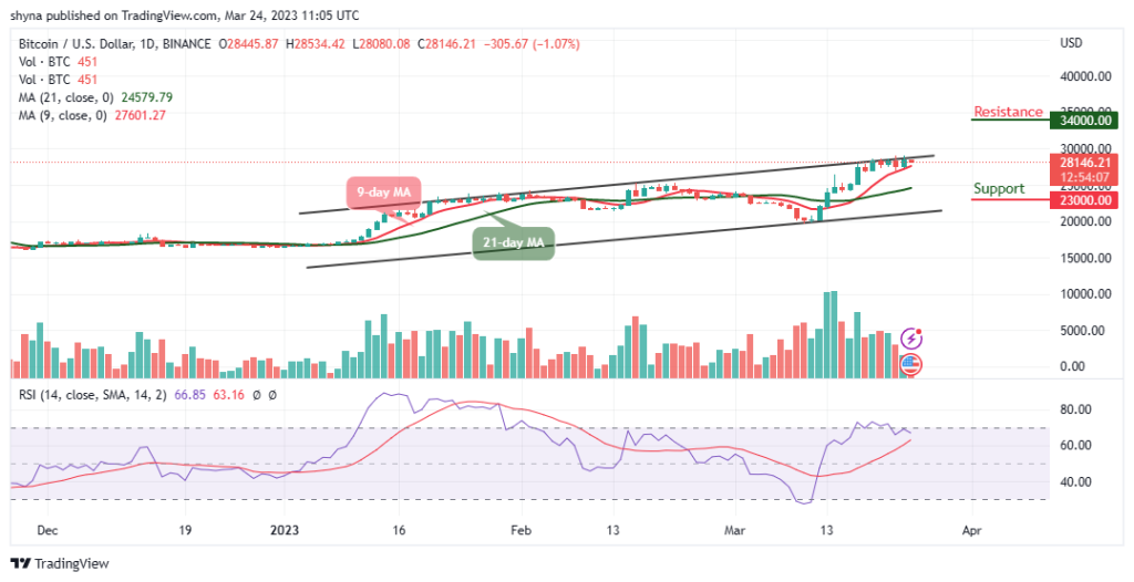 BTCUSD_1D_21032023-1024x526-1
