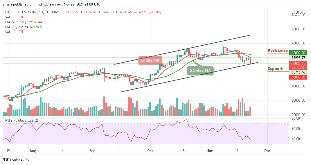 BTCUSD_1D_22112021