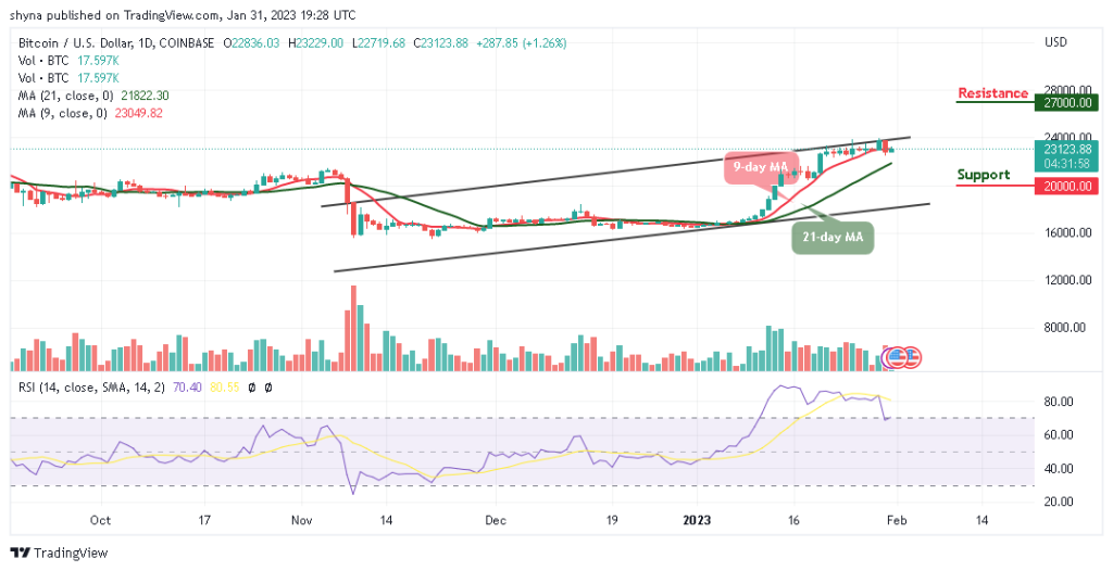 BTCUSD_1D_24012023-1024x526-1