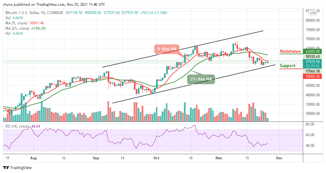 BTCUSD_1D_24112021_b