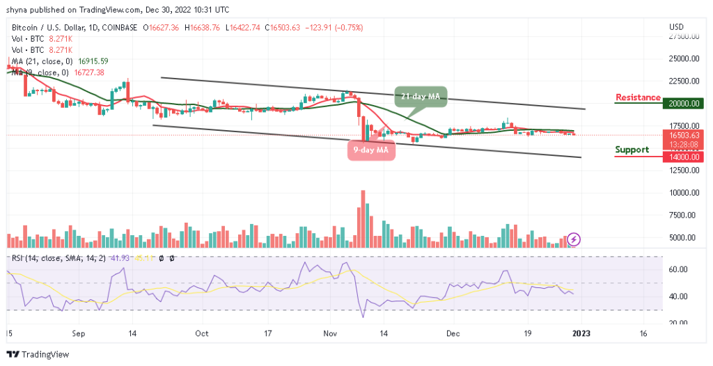 BTCUSD_1D_24122022-1024x526-1