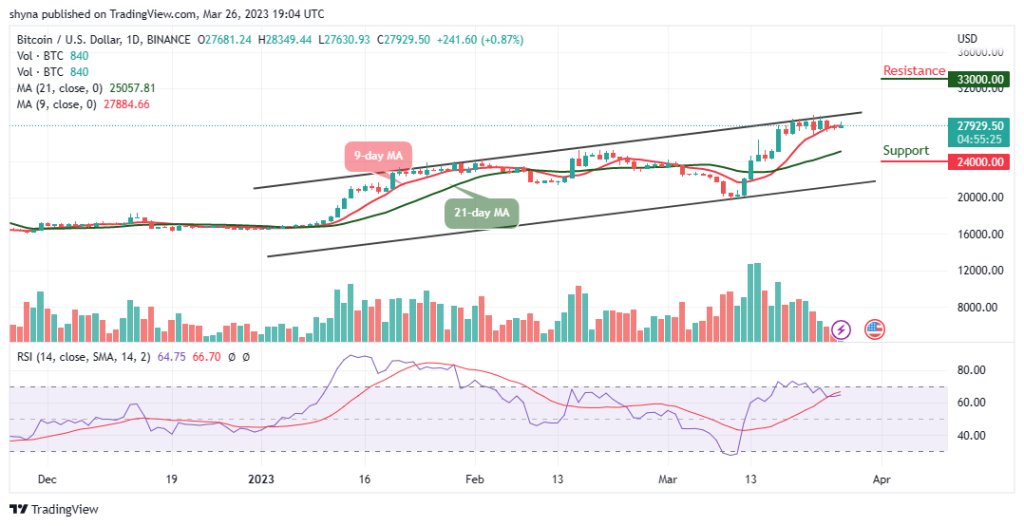BTCUSD_1D_25032023-1024x526-1