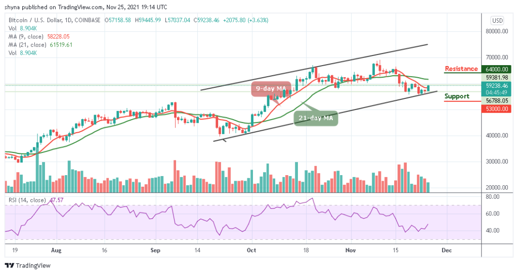 BTCUSD_1D_25112021
