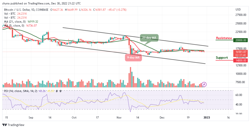 BTCUSD_1D_25122022-1024x526-1