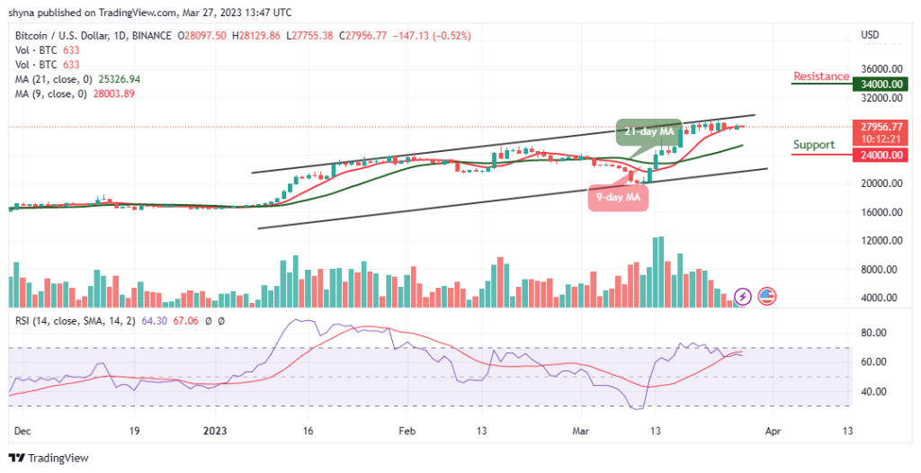 BTCUSD_1D_26032023-1024x526-1