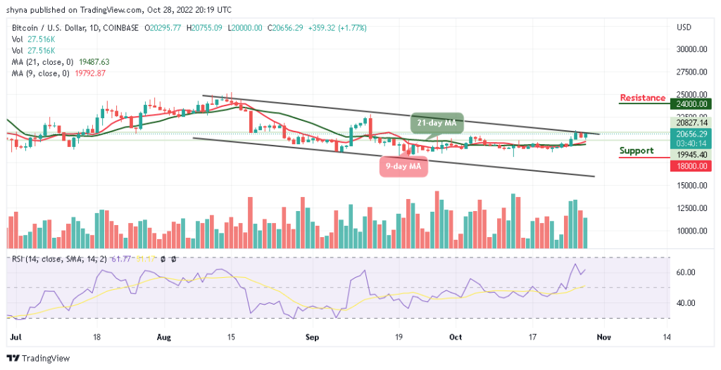 BTCUSD_1D_26102022-1024x526-1