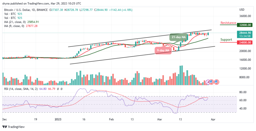 BTCUSD_1D_28032023-1024x526-1