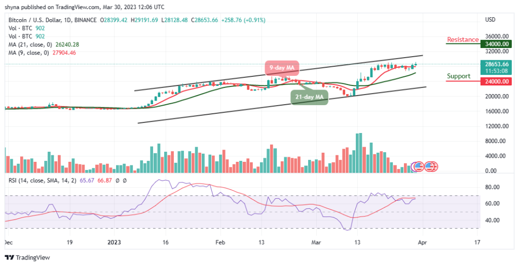 BTCUSD_1D_29032023-1024x526-1
