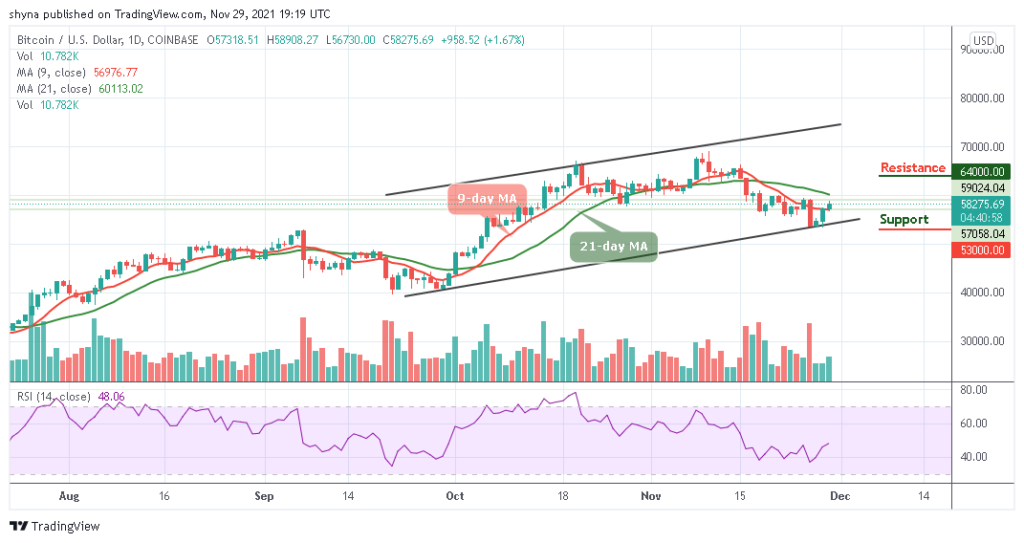 BTCUSD_1D_29112021_b