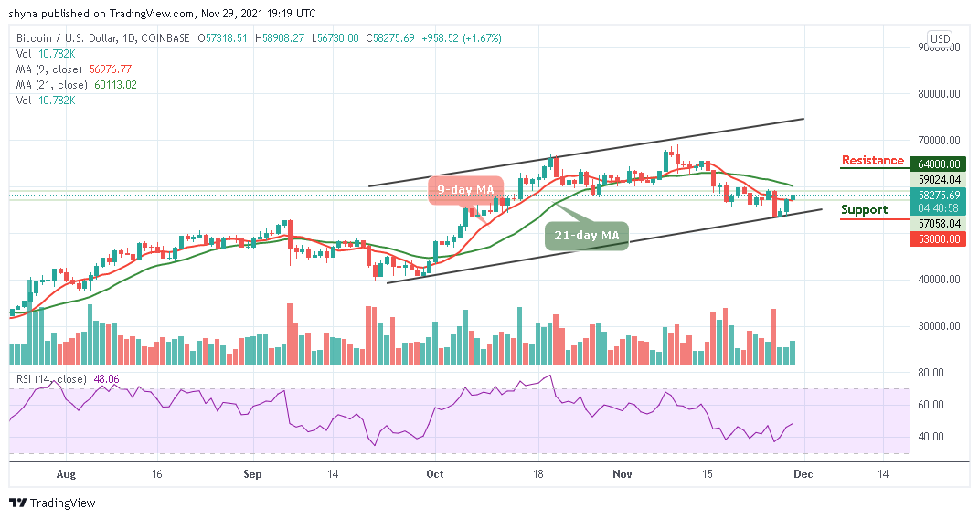 BTCUSD_1D_29112021_b