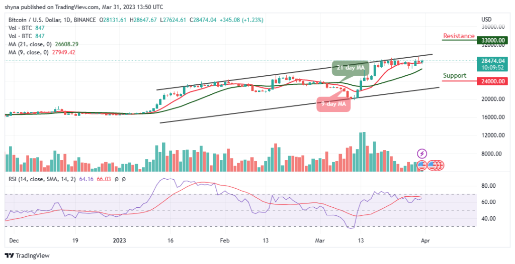 BTCUSD_1D_30032023-1024x526-1