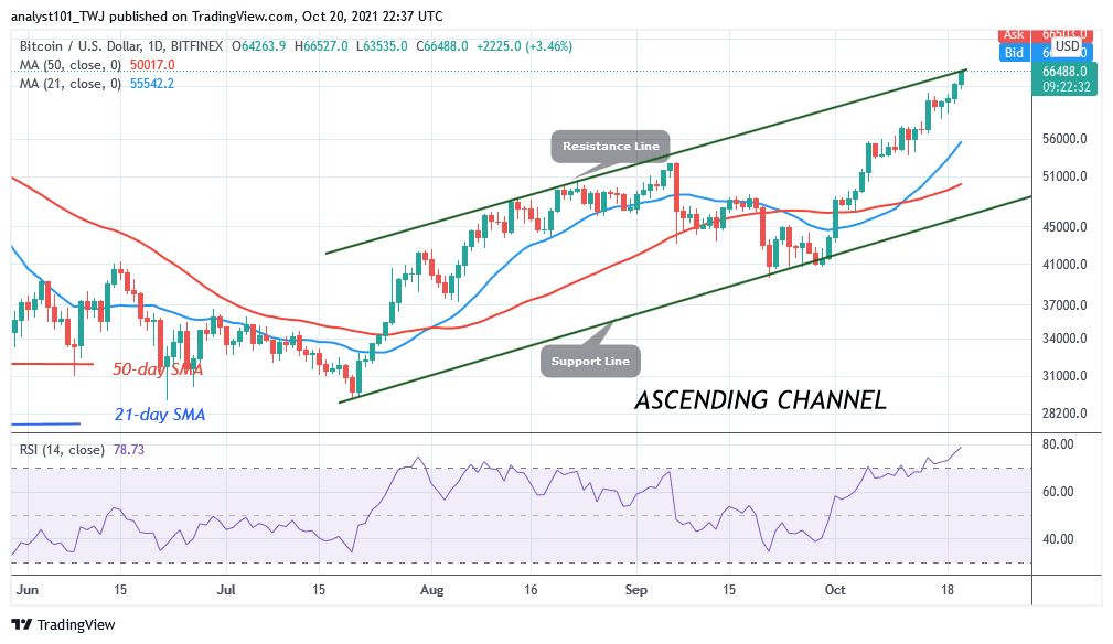 BTCUSD_2021-Daily-Chart